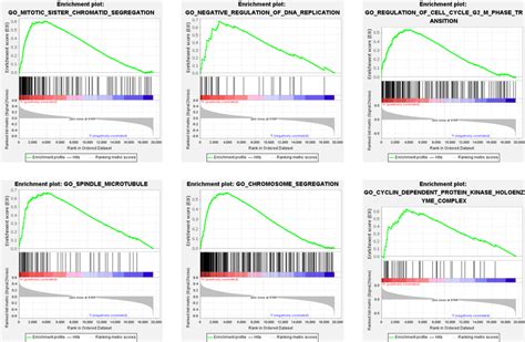 Gsea Analysis Between High And Low Risk Groups Some Cell