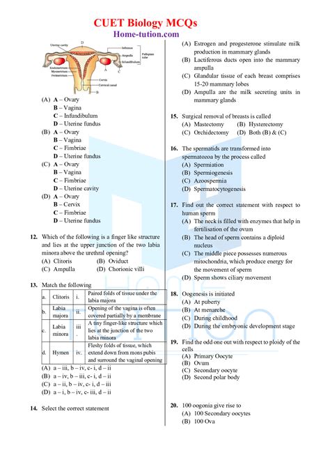 Mcq Biology Questions For Cuet Chapter 3 Human Reproduction With