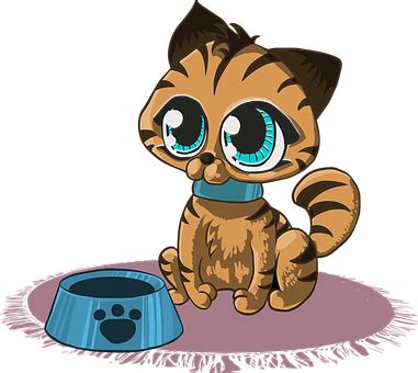 Free Kitty PNG Images with Transparent Backgrounds - FastPNG.com