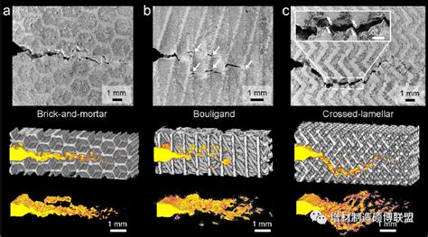 Nature子刊丨3d打印仿生结构镁 钛互穿相复合材料的损伤容限研究断裂复合材料增材裂纹理论材料仿生 仿真秀干货文章