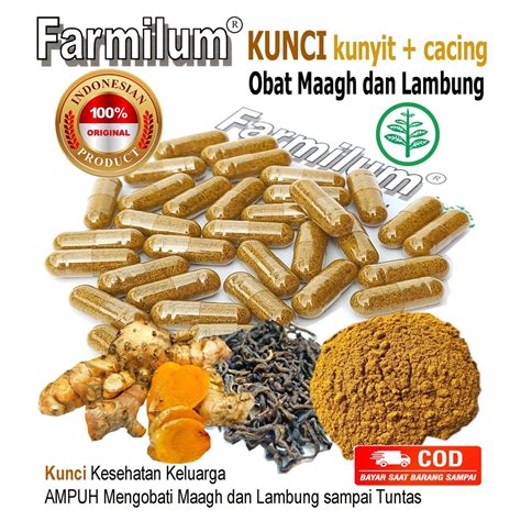 Jual Obat Maagh Dan Lambung Ampuh Ori Farmilum Kunci Kunyit Dan Curcuma