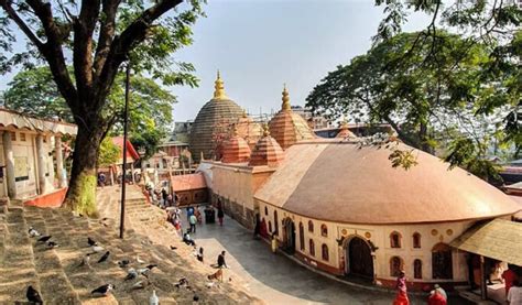 Nightfall Brings Silence To Kamakhya Temple No Devotees Allowed After