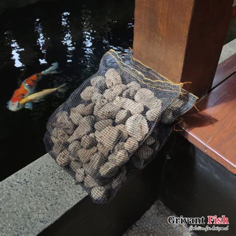 Jual Media Filter Kolam Koi Bio Filter Akuarium Mekanis Media Biologis