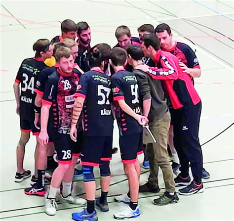 Freud Und Leid Beim Handballclub Einsiedeln Einsiedler Anzeiger