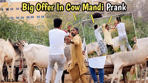 Big Offer In Cow Mandi Prank Crazy Cam Tv Prank Cowmandipakistan