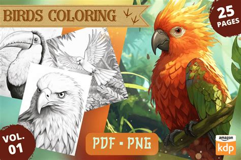 Realistic Birds Coloring Pages Vol 01 Gráfico por Sahad Stavros Studio