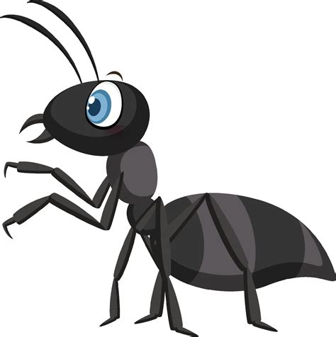 Black ant isolated on white background 8188180 Vector Art at Vecteezy