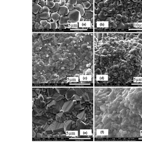 Fe Sem Microstructures Of Cacu Ti X Er X O With X A