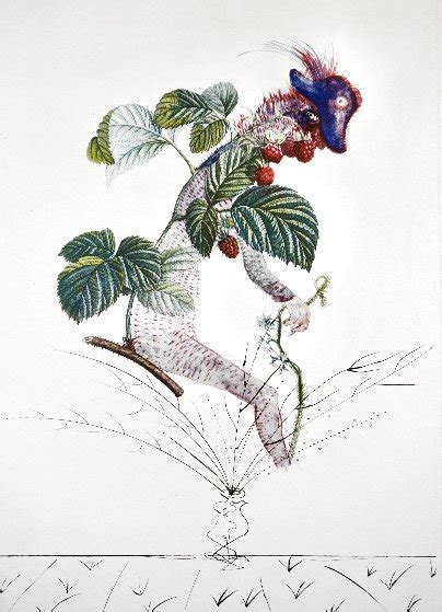 Flordali Les Fruits Raspberry 1969 Etching 26x22 By Salvador Dali For