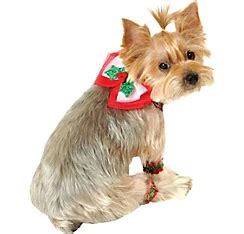 Holiday Dog Costumes - Party City