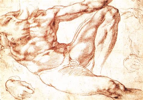 Michelangelo Buonarotti O Maior Conhecedor De Anatomia Do Per Odo