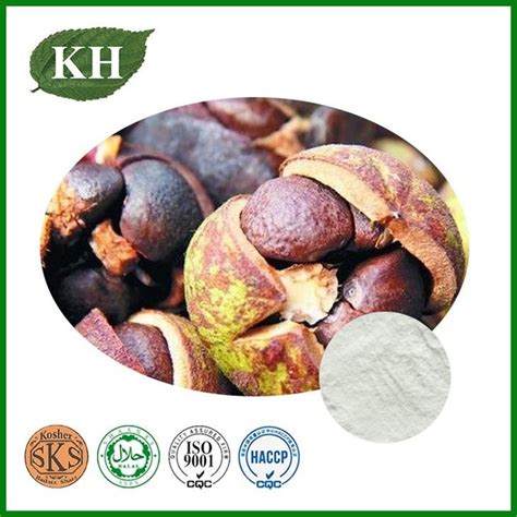 China Camellia Oleifera Seed Extract Suppliers Manufacturers Factory