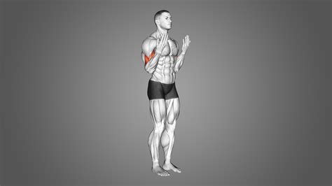 Types of Bicep Curls: 7 Best Variations - Inspire US