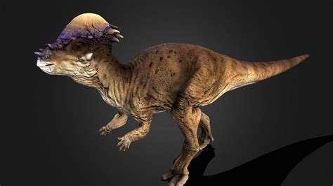 3d Model Pachycephalosaurus Youtube