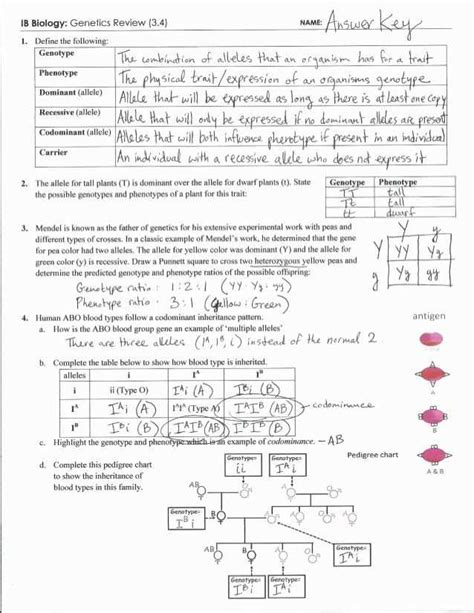 Understanding Genetic Drift Exploring The Answers With A Worksheet Key