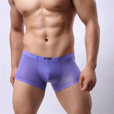 Wh Men Sexy Mesh Transparent Boxer Ice Silk Underwear Shorts Exotic