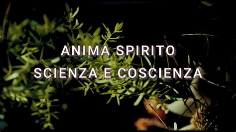 Anima Spirito Scienza E Coscienza YouTube