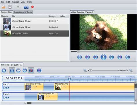Openshot video editor download - traderswera