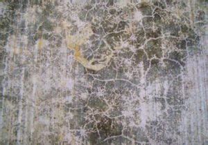 What is Concrete Laitance? Causes, Testing & Removal Methods