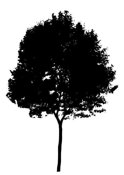 Tree Silhouette Silhouette Vector Tree Tops