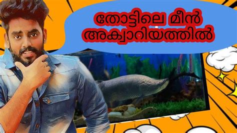 തോട്ടിൽ പോയി മീൻ പിടിച്ചപ്പോൾ😳😳trending Fishing Oscar Aqarium Youtube