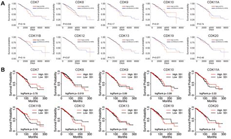 Expression And Prognostic Value Of Transcription Associated Cyclin