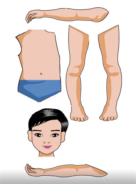 Download Assemble The Girl Body Parts For Free Artofit