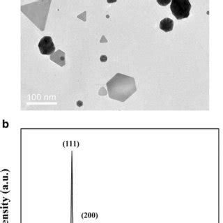 TEM A And XRD B Analyses Of AuNPs Synthesized By Cell Free Extracts