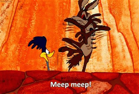 Roadrunner Meep Wile ECoyote GIF - RoadrunnerMeep WileECoyote MeepMeep ...