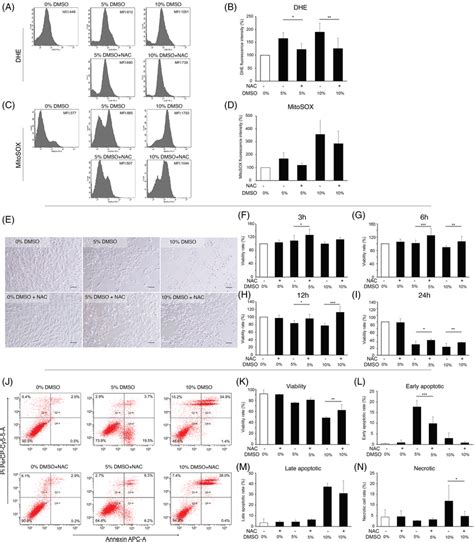 Cytoprotective Effects Of Nacetylcysteine Nac Against Dmsoinduced