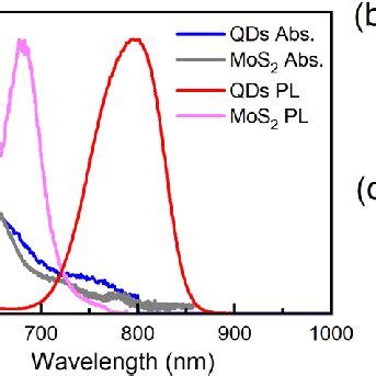 A Absorption And Pl Spectra Of Cdsete Zns Qds And Monolayer Mos