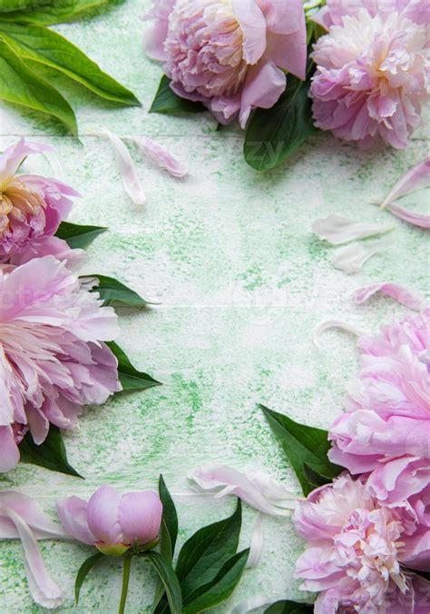 Background with pink peonies 12785780 Stock Photo at Vecteezy