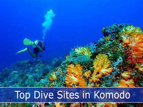 Komodo Diving World Class Guide Neptune Liveaboard