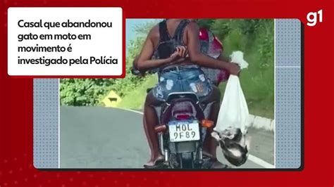 Casal Larga Gatos De Moto Em Movimento Em Rodovia Da Pb E Pol Cia