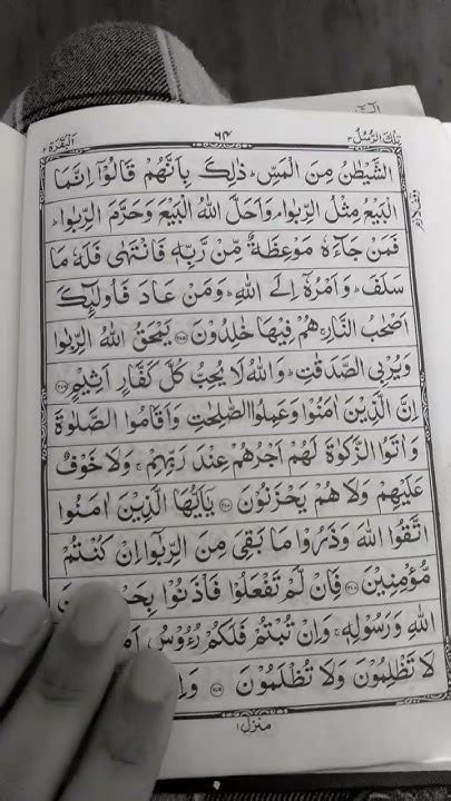 Surah Al Baqarah Ayahs 274 276 Memorising The Quran Youtube