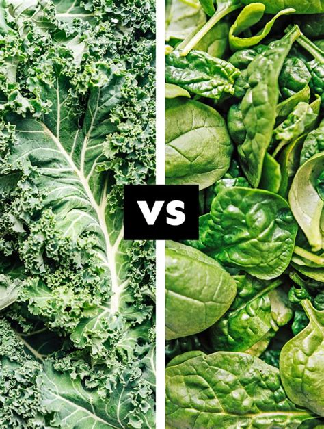 Kale Vs. Spinach: Which Is Better? (With Photos!)