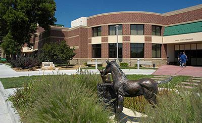 CSU veterinary school celebrated for communications - Veterinary Practice News