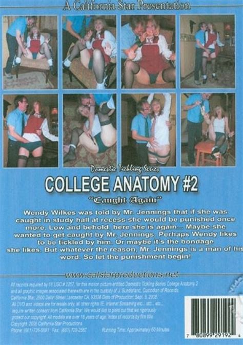 Domestic Tickling Series College Anatomy 2 2008 California Star