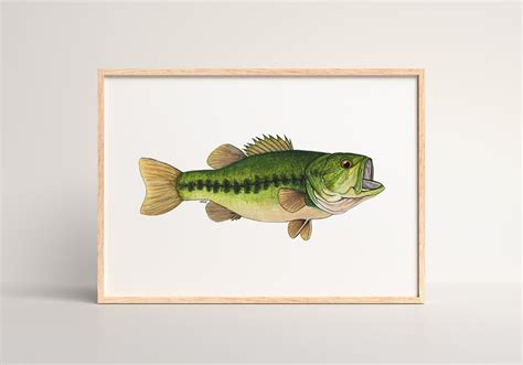 Largemouth Bass Print Largemouth Bass Painting Largemouth Bass Art Bass ...