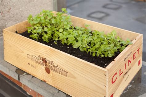 How To Create A Repurposed Wine Crate Planter Recycled Garden