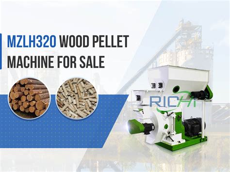 High Standard Feed Biomass Wood Pellet Mill For Sale Usa