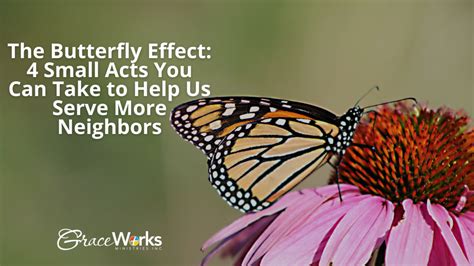 The Butterfly Effect 4 Small Acts You Can Take To Help Us Serve More