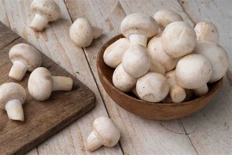 Discovering The Protein In Mushrooms A Nutritional Guide