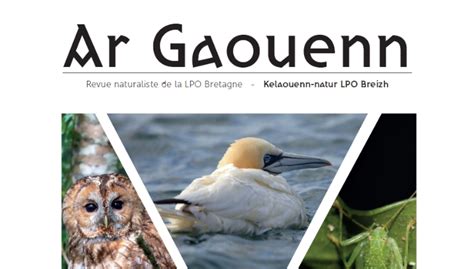 Lpo Bretagne Lpo Ligue Pour La Protection Des Oiseaux Agir Pour