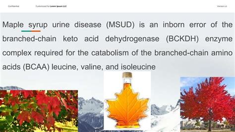 Maple Syrup Urine Disease Msud Ppt