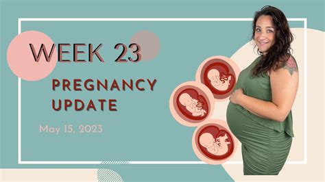 Week 23 Pregnancy Update Youtube