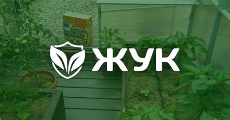 Системы полива Жук в официальном интернет-магазине «Жук»