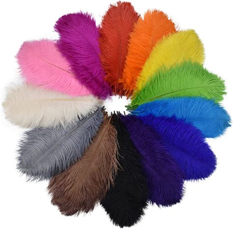 Amazon Queenbox Pcs Cm Multi Color Ostrich Feathers