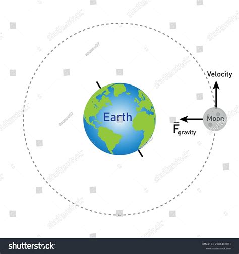 13 Lunar Diagram Schematic Stock Vectors and Vector Art | Shutterstock