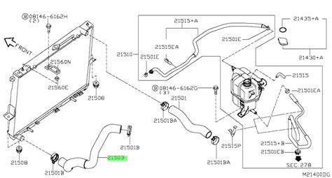 Buy Genuine Nissan Eb Eb Hose Radiator Lower Prices